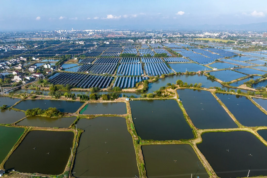 The fishery-solar hybrid system, which is one type of floating solar farms.renewable energy, carbon neutrality, clean energy, sustainable energy.